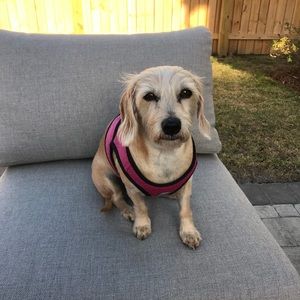 Meet your Posher, Linda